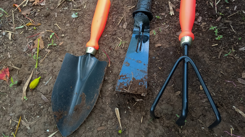 Three dirty gardening tools laying in the dirt