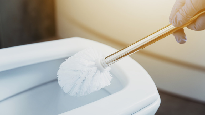 A gloved hand cleans a toilet bowl with a metal reusable toilet cleaning brush.