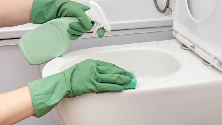 person cleaning toilet