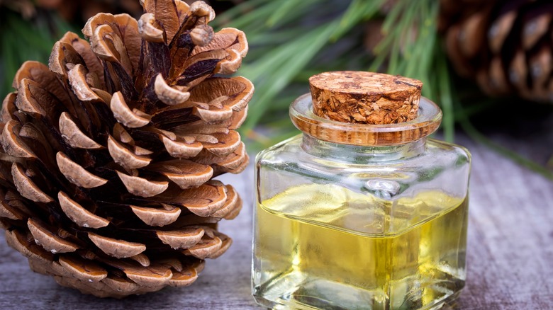 Pine cone and essential oil bottle on table