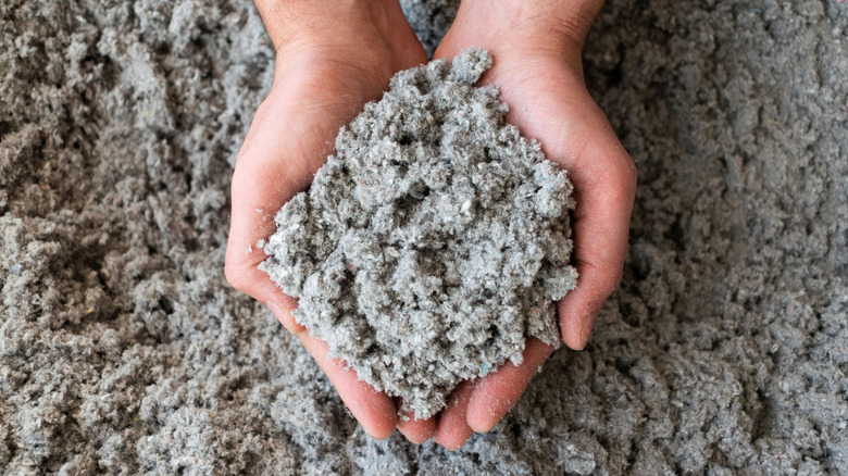 hands holding cellulose insulation