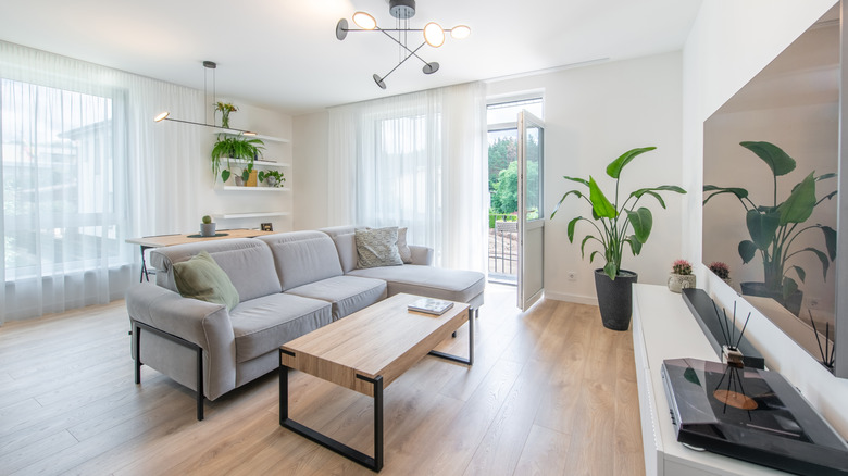 Living room with lots of natural light, a couch, coffee table, plants, and TV set