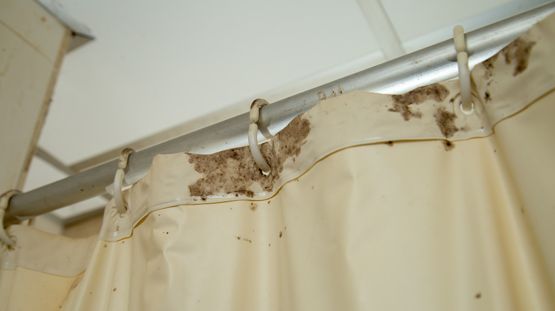 moldy, dirty shower curtain