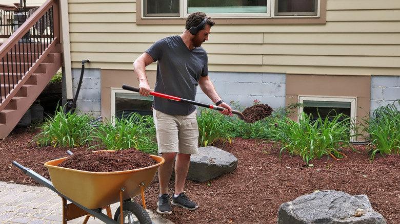 Man mulching garden