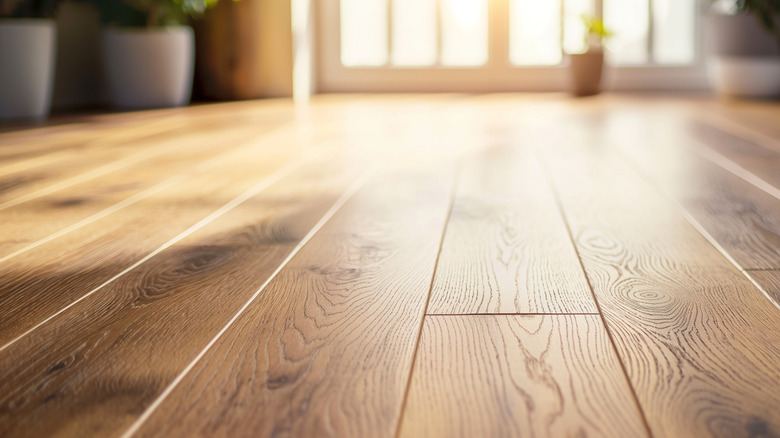 A hardwood floor has light shining on it from windows in the background