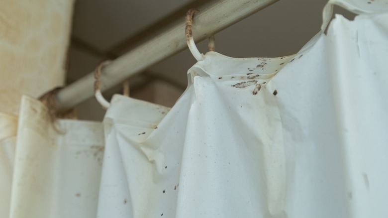 Dirty, old plastic shower curtain with hooks