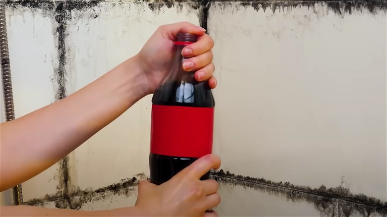 Hands holding coke in shower