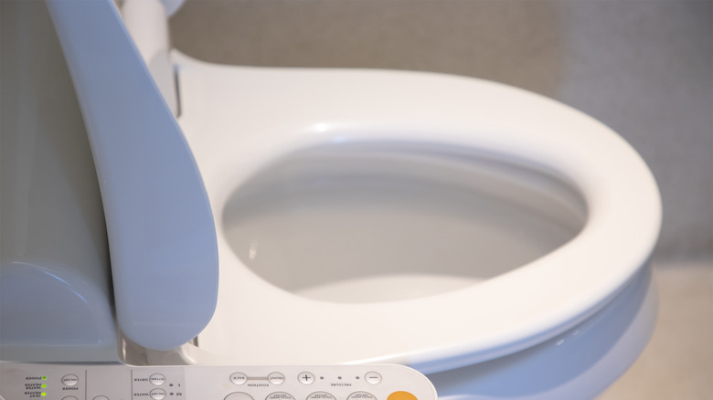 Heated toilet seat with controls