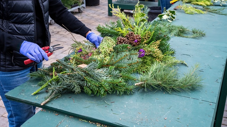 Person's hands cutting and arranging evergreen boughs