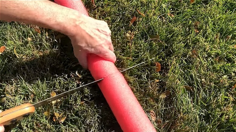 Cutting pool noodle on grass