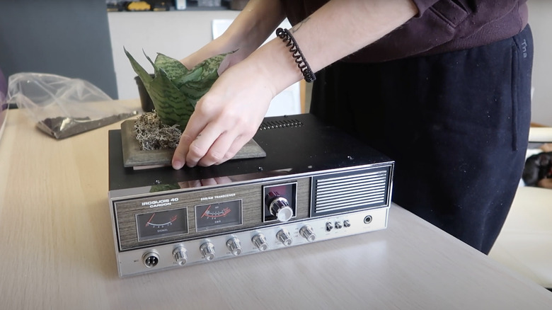 person making vintage radio planter