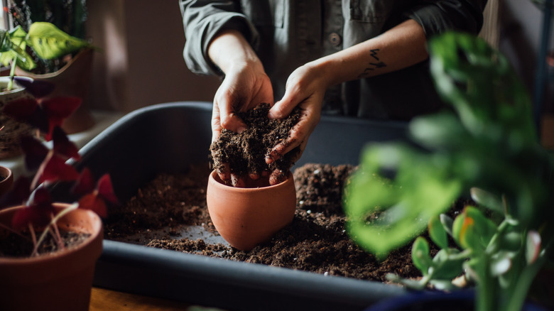 hands filling pot with soil