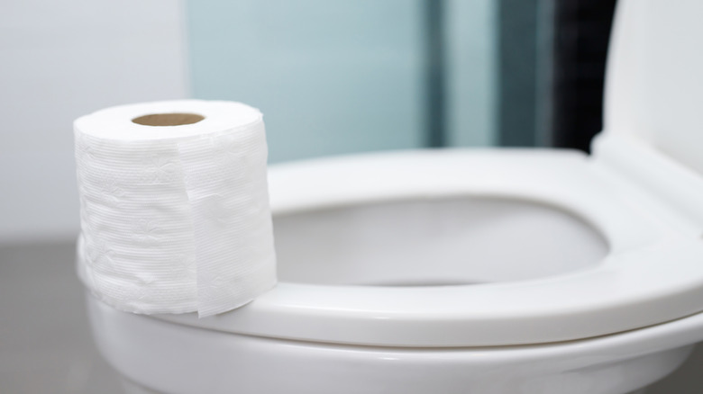 A roll of toilet paper sitting on a toilet seat