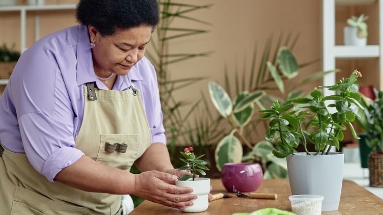 woman tending to houseplant