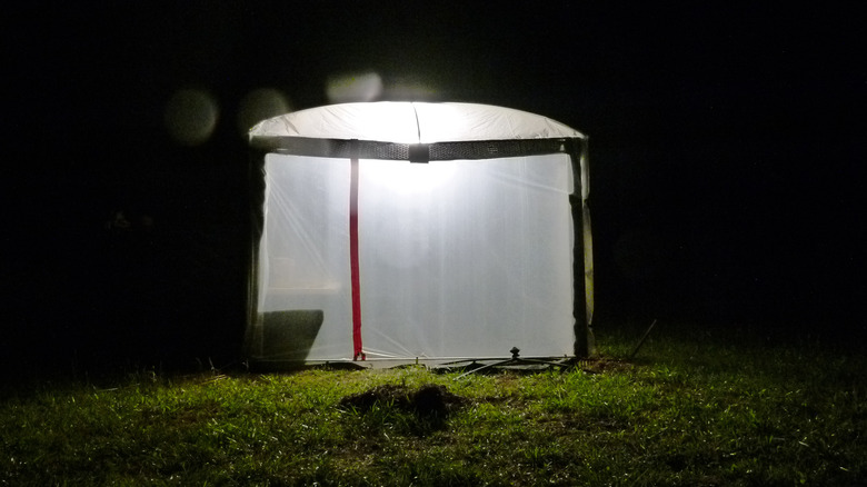 New greenhouse at night