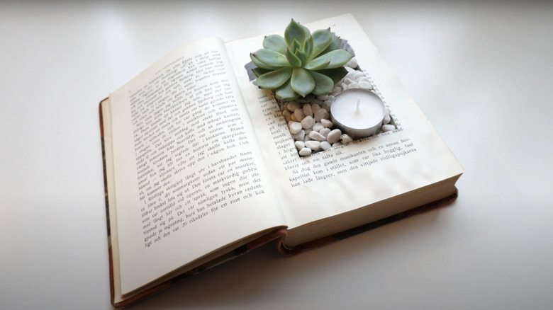old book as a planter
