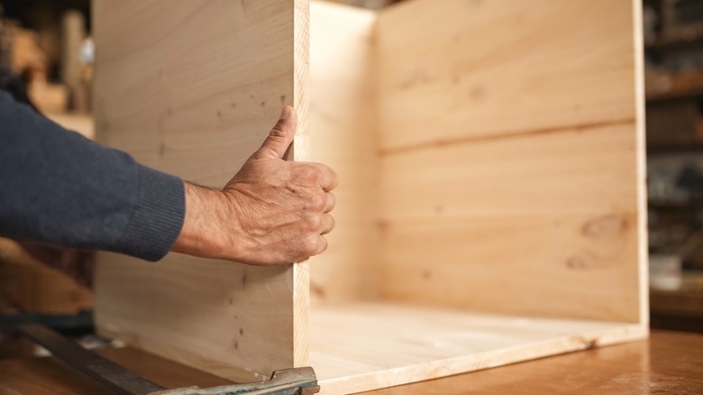 carpenter holding side panel of plywood box clamped on top of workbench