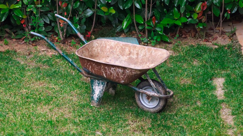 rusty wheelbarrow in yard