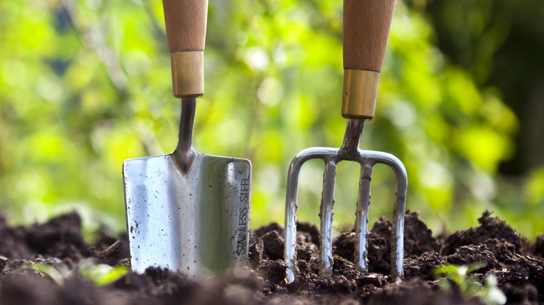 Gardening tools laying on lawn