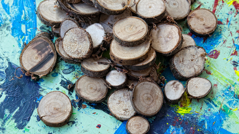 Pile of small tree trunk wood slices