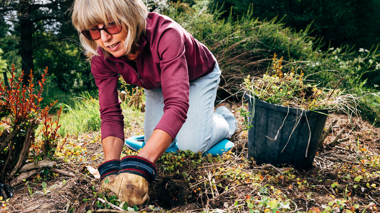 woman weeding in garden