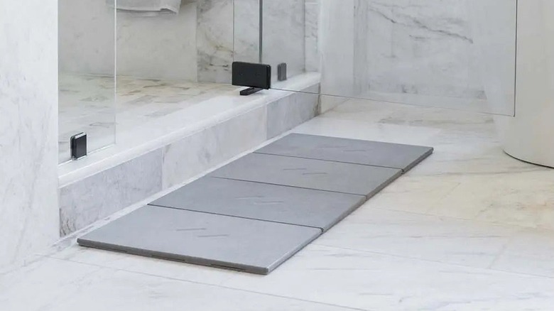 Gray stone bathmat in front of shower door