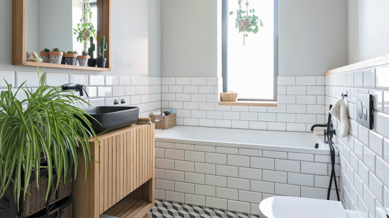 Modern bathroom with various plants and tiles