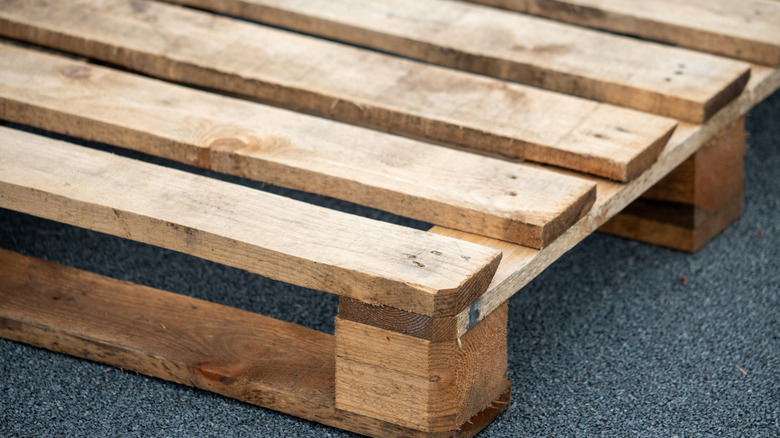 A wooden shipping pallet rests on the ground