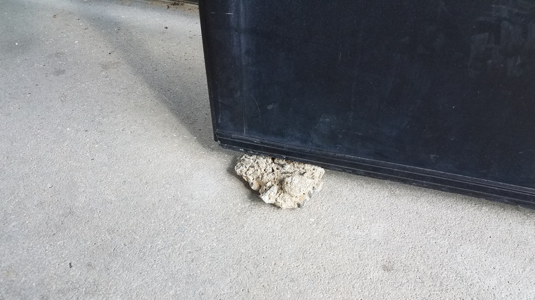 Rock doorstop 