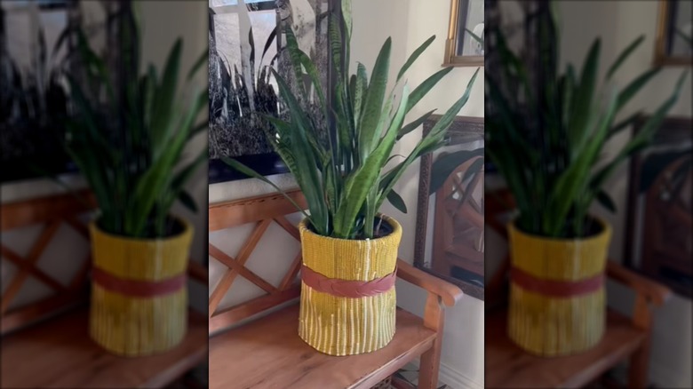 Planter made by combining a rug, a trash can, and a belt