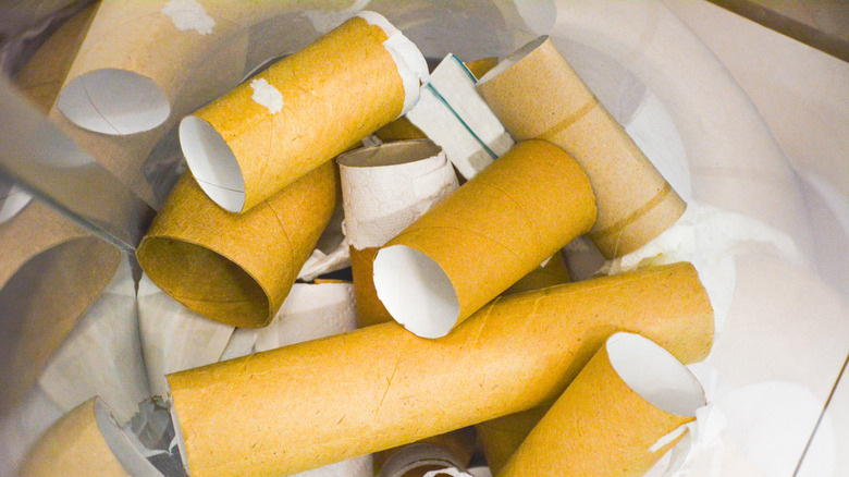 Empty toilet paper rolls collected inside an open-topped round plastic container.