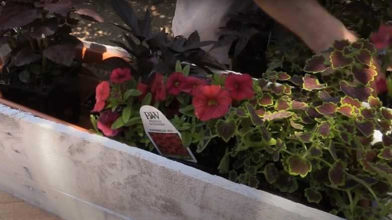 DIY wood planter box