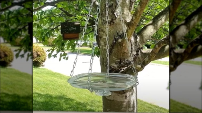 hanging birdbath