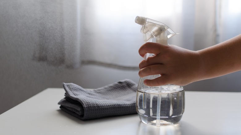 Spray bottle and cloth