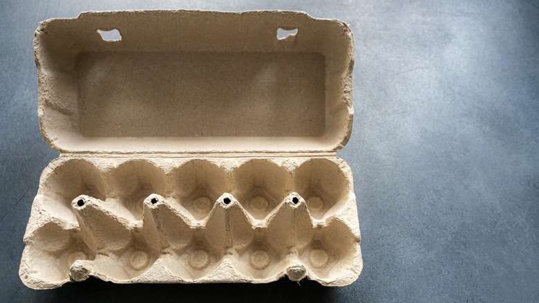 An empty egg carton sitting on a counter.