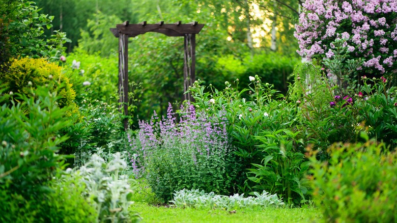 lush secret garden