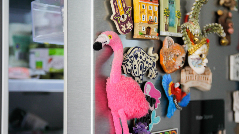 fridge with magnets