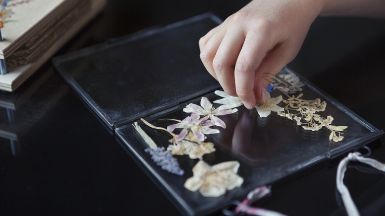 dried flowers