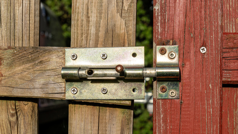 Silver bolt latch on garden gate