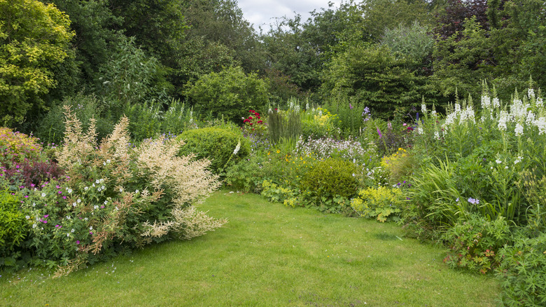 garden with grass path