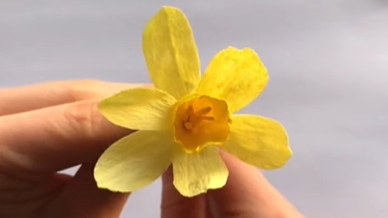 Close up of someone holding a paper daffodil