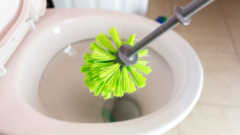 toilet brush and bowl