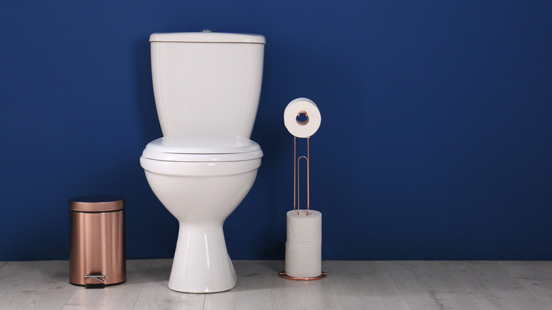 toilet and trash can against a blue wall