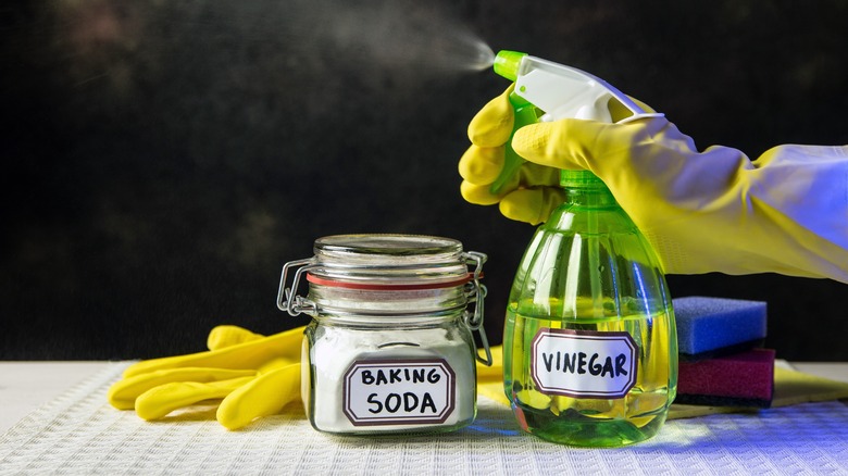 baking soda and white vinegar