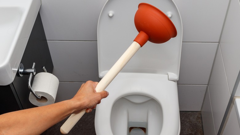 Hand holding a toilet plunger