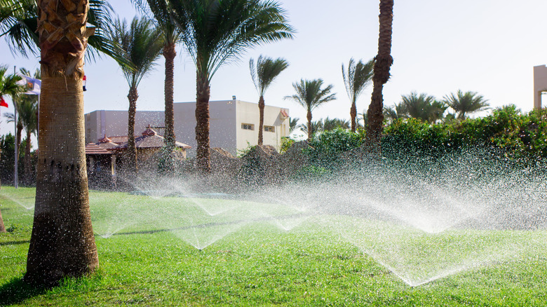 automatic lawn sprinklers