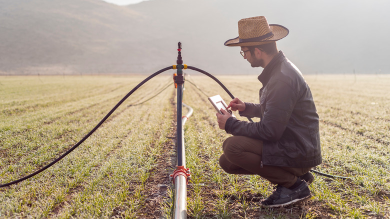 farmer controlling sprinklers on device