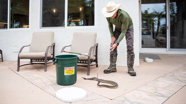 professional catching rattlesnake on patio