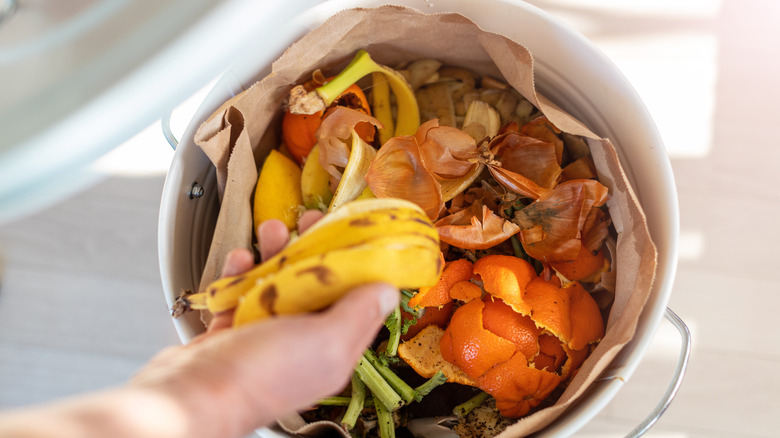 Compost pail with peels