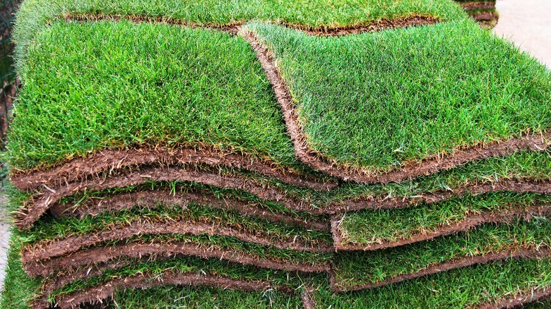 stack of sod